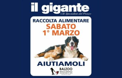 Animali domestici e solidarietà: ‘Il Gigante’ e ‘Balzoo’ promuovono una raccolta di aiuti
