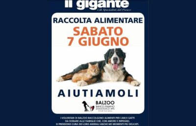 Milano e hinterland, nei supermercati Il Gigante una giornata per aiutare gli animali in difficoltà