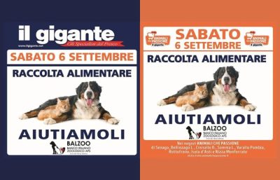 Torna la raccolta alimentare per cani e gatti in difficoltà: l’iniziativa nei supermercati "Il Gigante"