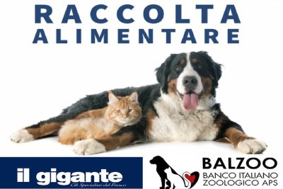 Cibo per animali, torna la raccolta solidale nei supermercati Il Gigante